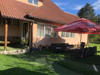Виллы Vila Lilica Бран Вилла-37