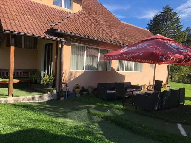 Виллы Vila Lilica Бран-39